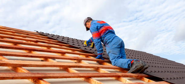 Best Roof Maintenance and Cleaning  in Le Center, MN