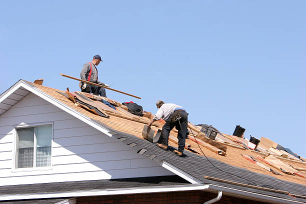 4 Ply Roofing in Le Center, MN